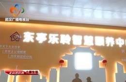 中宣部采访团到访武汉东亭社区j9国际站智慧颐养中心